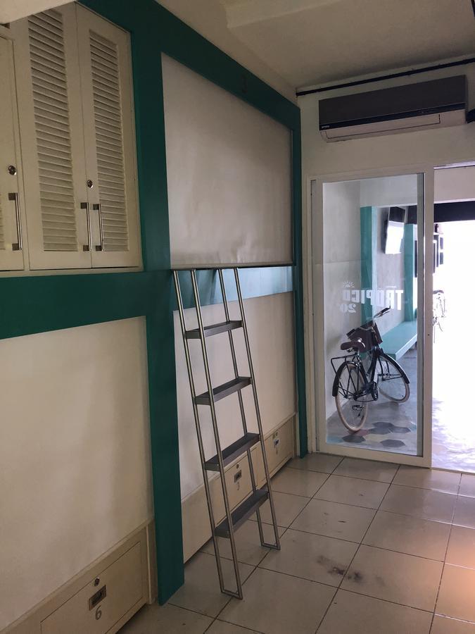 Hostel Frente Al Mar Tropico 20º Cozumel Ngoại thất bức ảnh