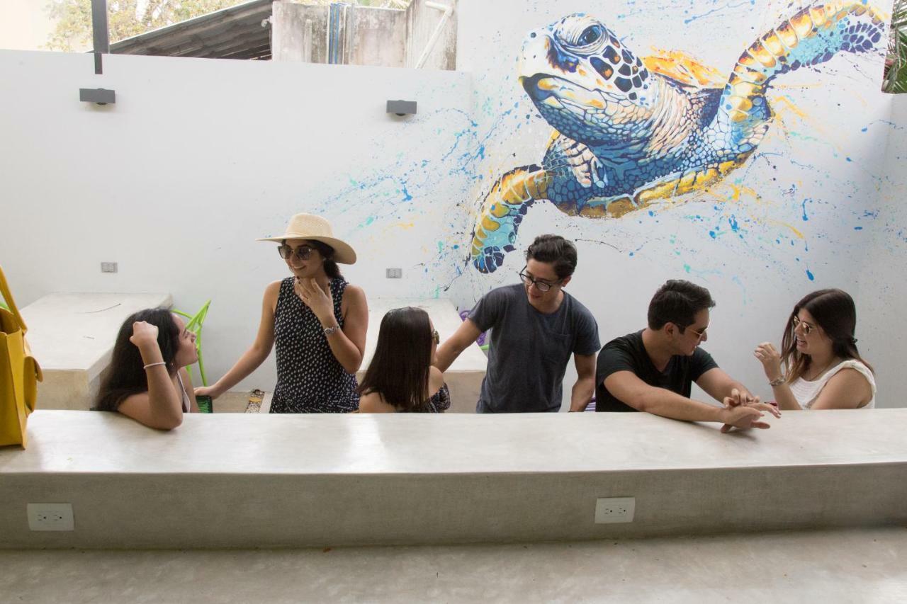 Hostel Frente Al Mar Tropico 20º Cozumel Ngoại thất bức ảnh